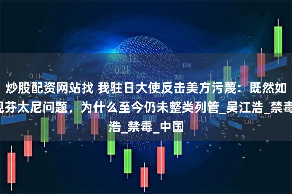 炒股配资网站找 我驻日大使反击美方污蔑：既然如此重视芬太尼问题，为什么至今仍未整类列管_吴江浩_禁毒_中国