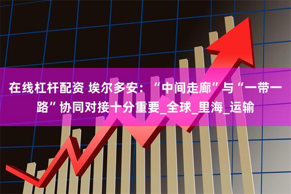 在线杠杆配资 埃尔多安：“中间走廊”与“一带一路”协同对接十分重要_全球_里海_运输