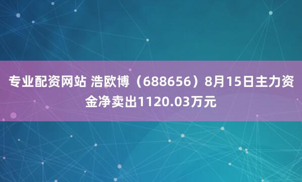 专业配资网站 浩欧博（688656）8月15日主力资金净卖出1120.03万元