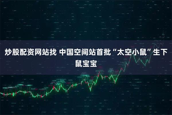 炒股配资网站找 中国空间站首批“太空小鼠”生下鼠宝宝